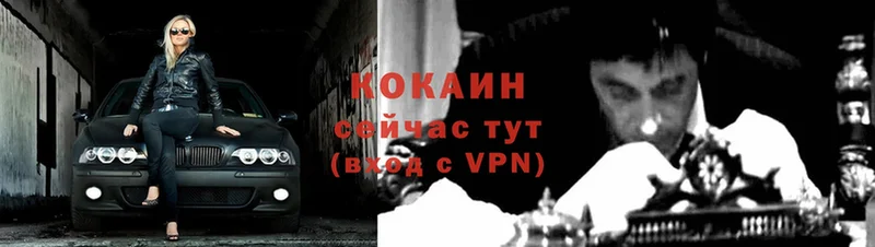 КОКАИН VHQ Торжок